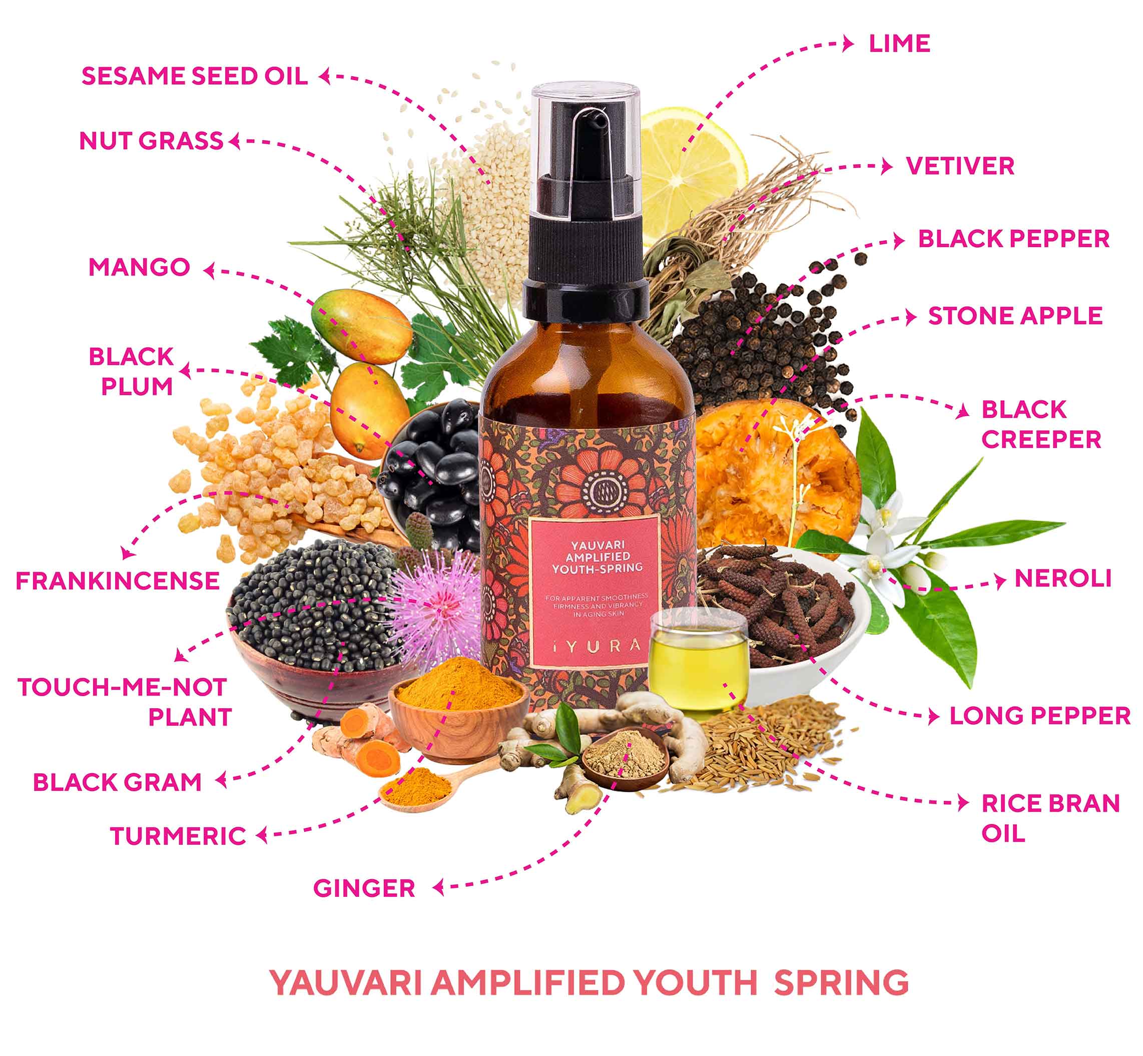 Graphic of all ingredients in Yauvari