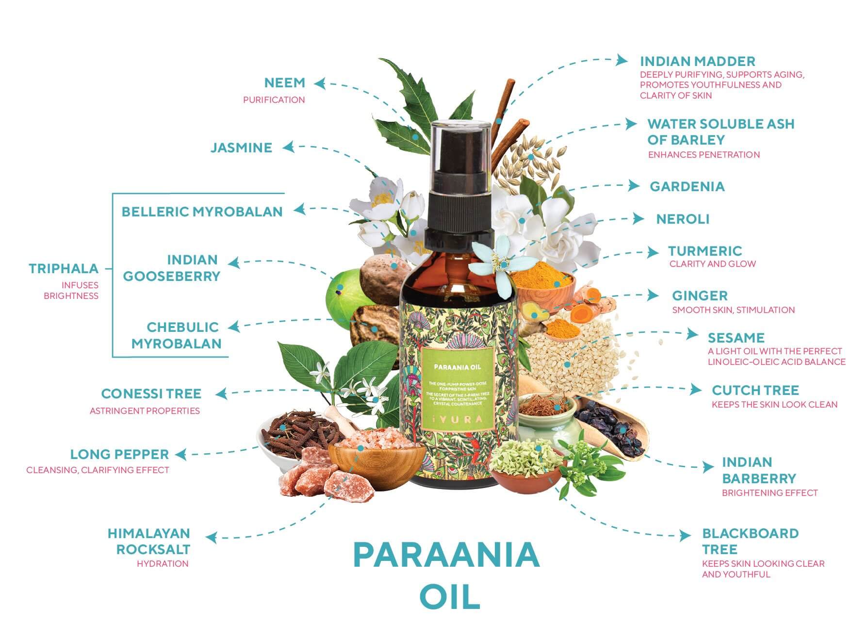 Paraania with ingredients