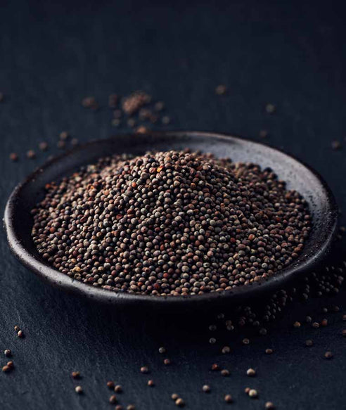 BLACK MUSTARD (BRASSICA CAMPESTRIS LINN) SEED EXTRACT