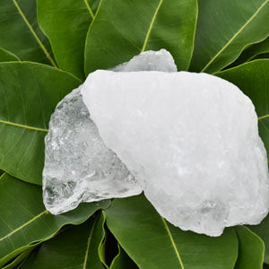 Camphor Ingredient image