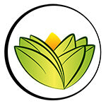 The Ayurveda Experience Logo