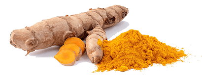 Turmeric, one of the oldest spice