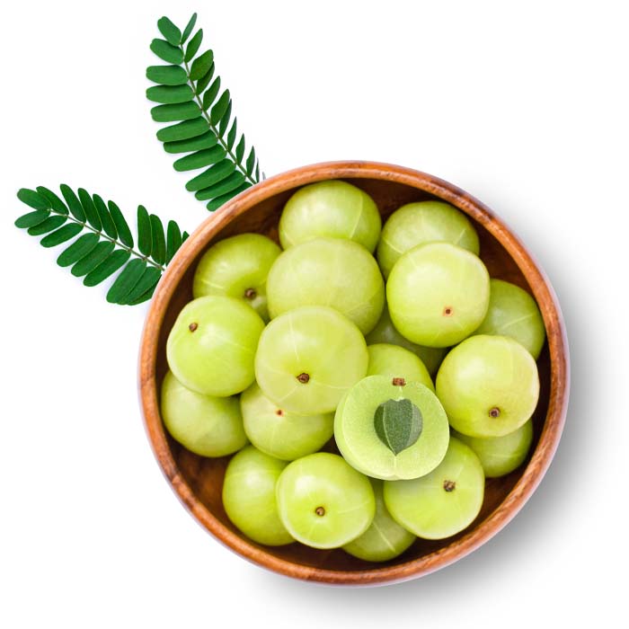 AMLA FRUIT EXTRACT 