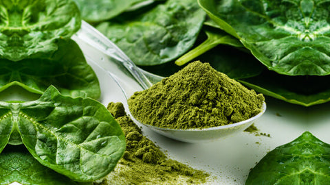 5 Ways to Decalcify the Pineal Gland | Chlorella