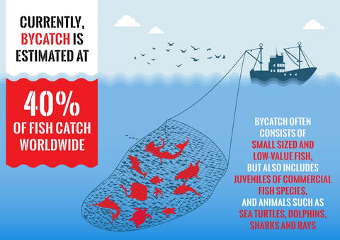 ocean bycatch