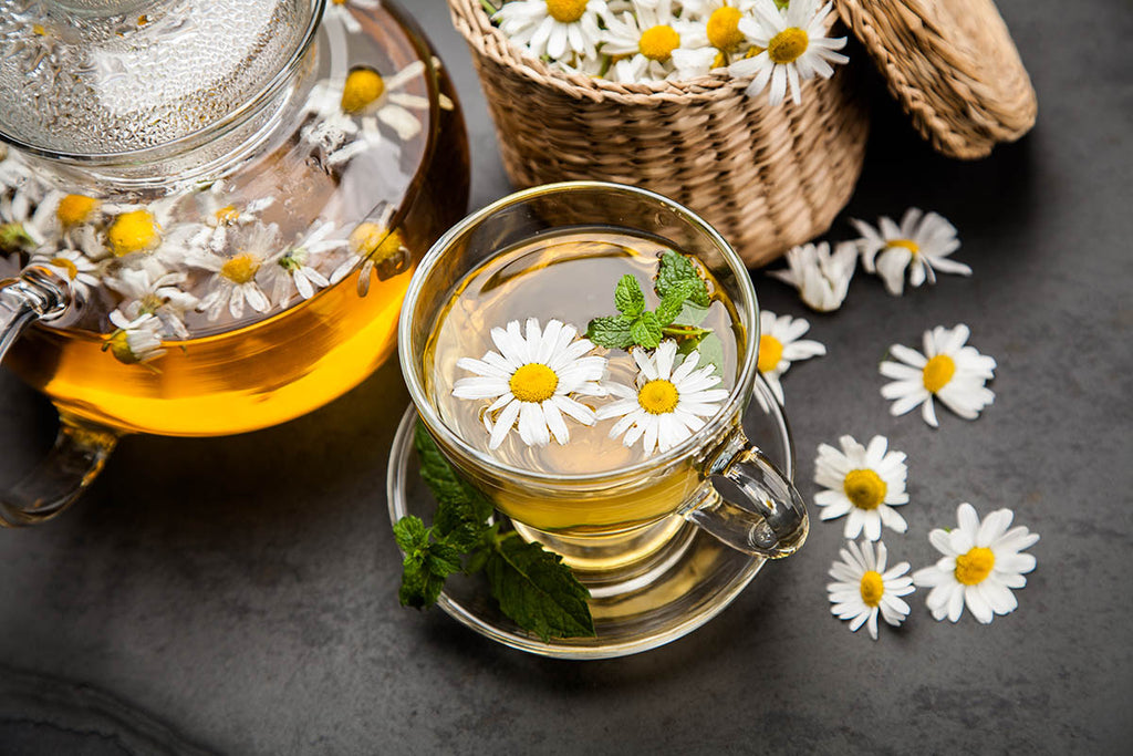 Chamomile – Life Sprout Bioceuticals