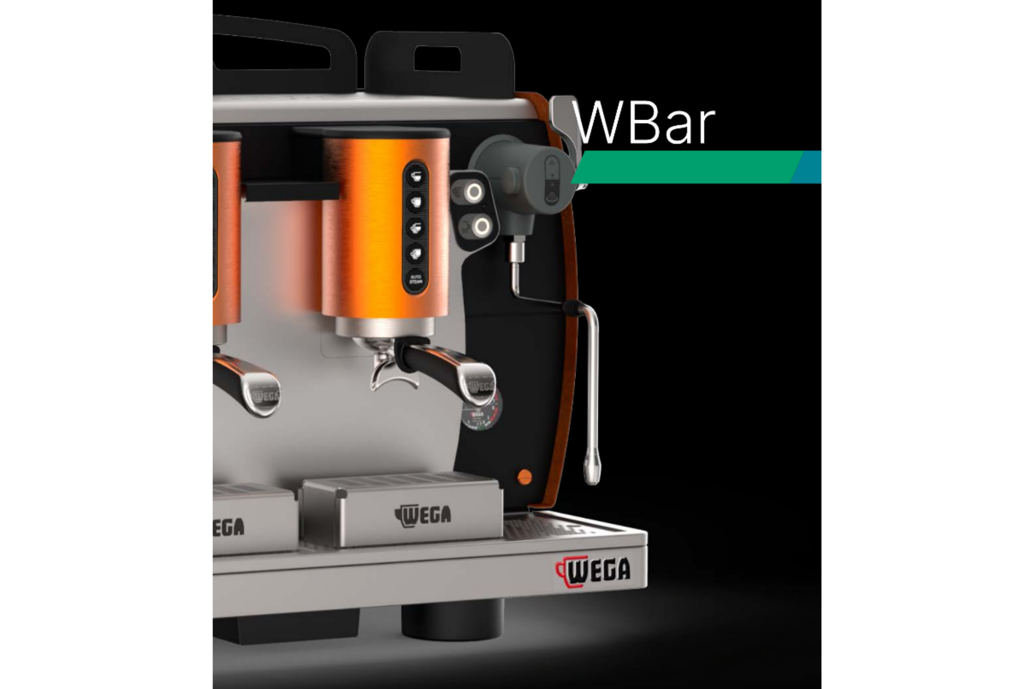 Wega Wbar Pro Steam Wand