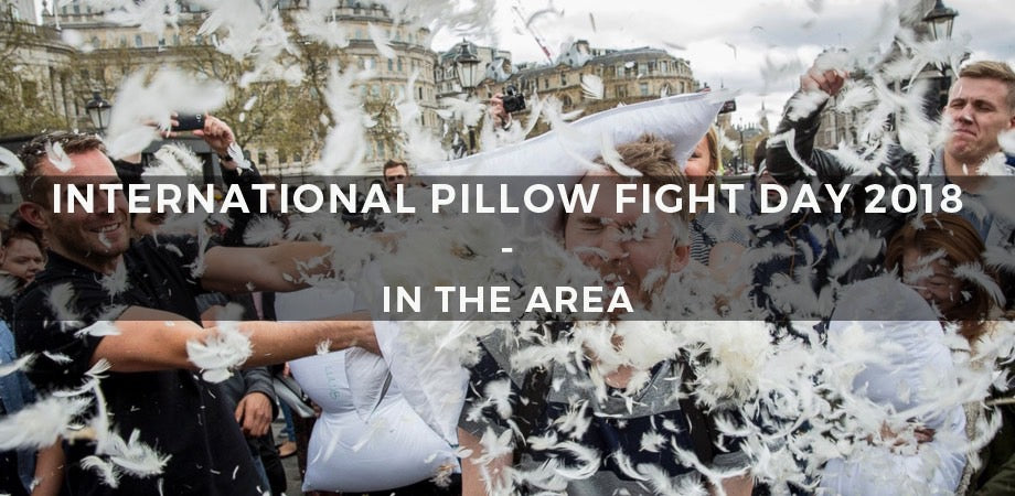 International Pillow Fight Day 2018 In The Area 1