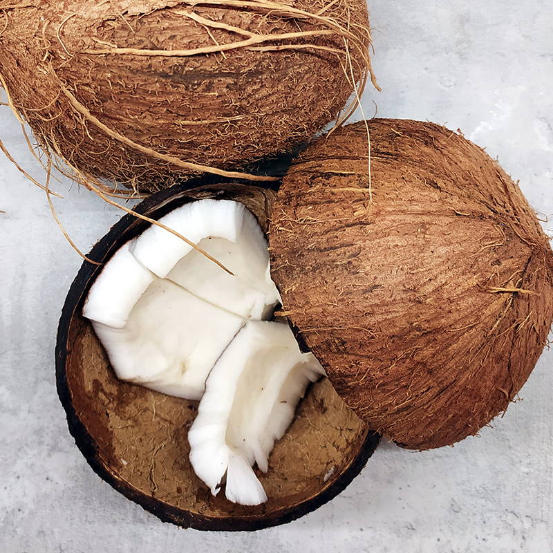 Coconut