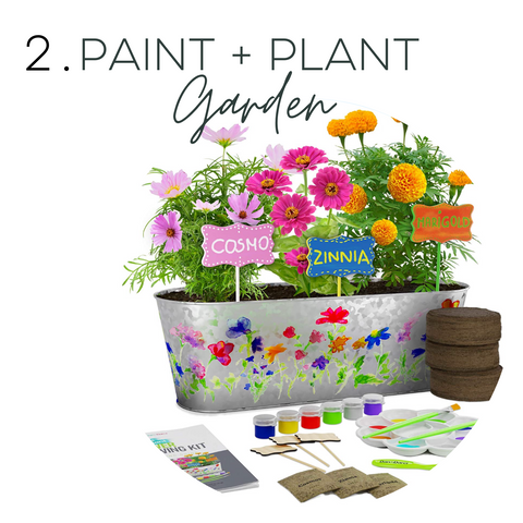 paint and plant garden