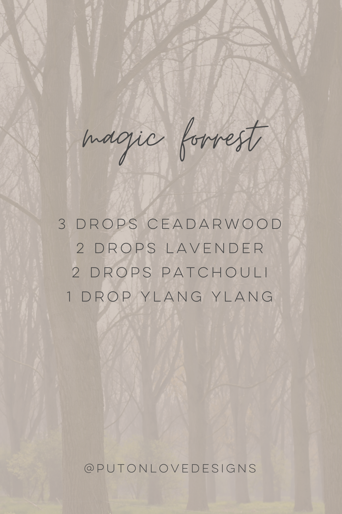 magic forest