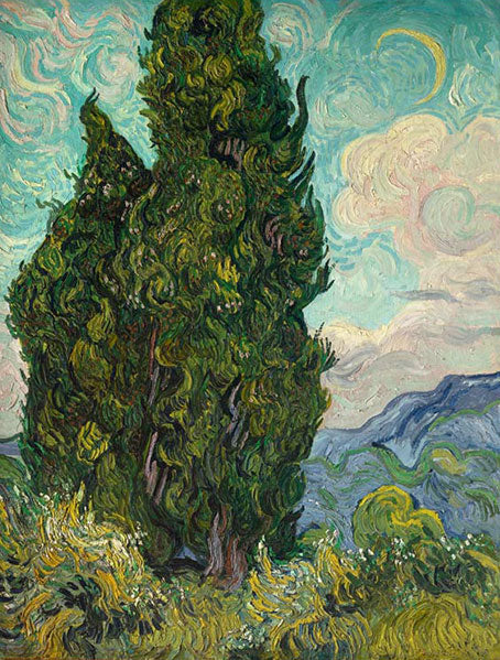 Cypresses by Vincent Van Gogh