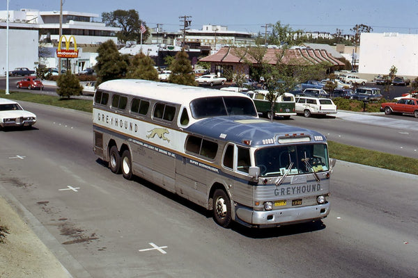 Greyhound Buses