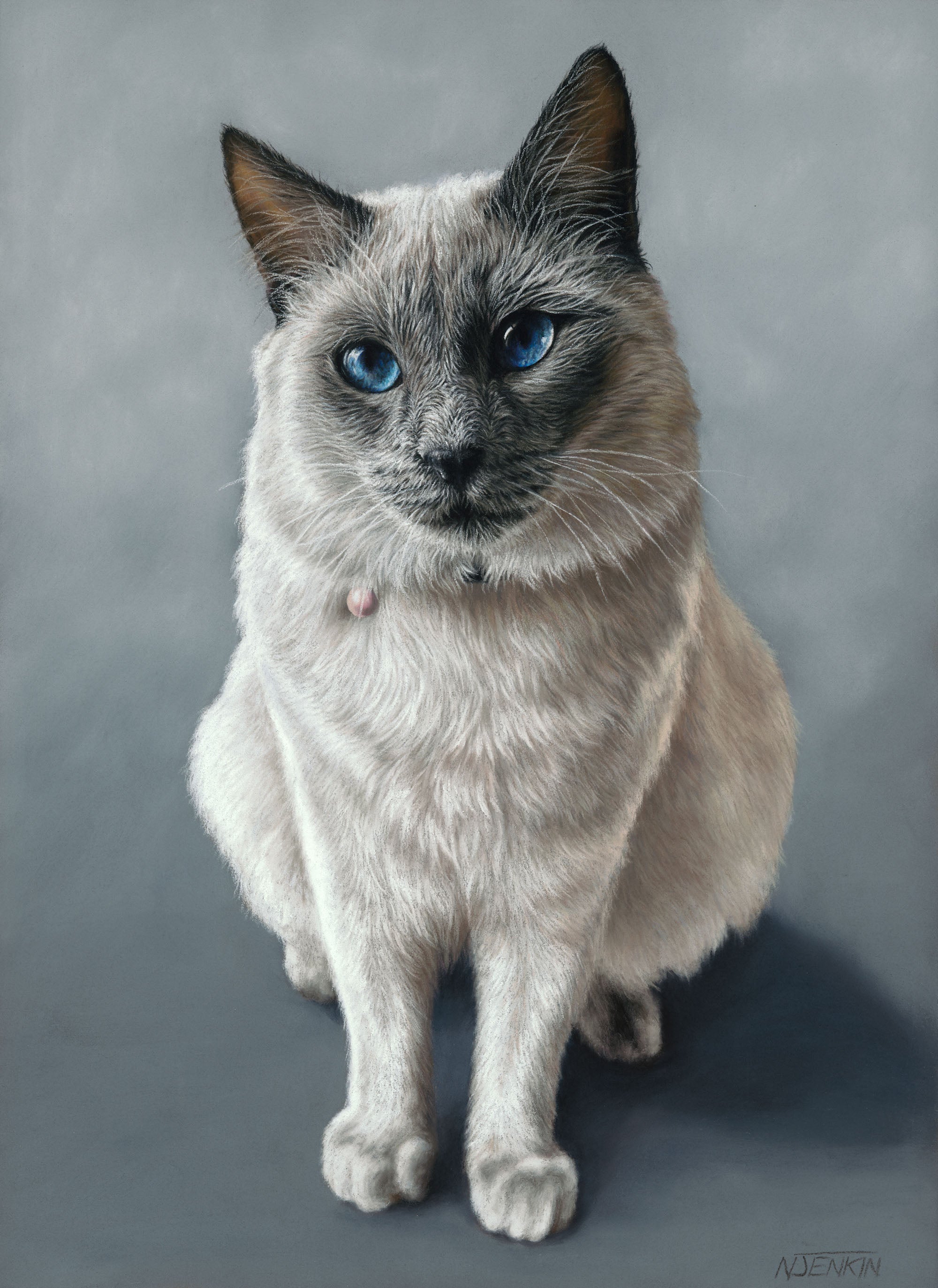 Naomi Jenkin Art - Stewy Cat Portrait.jpg__PID:03ecbc7c-9afb-48e3-ac9e-97fdd7a53c8d