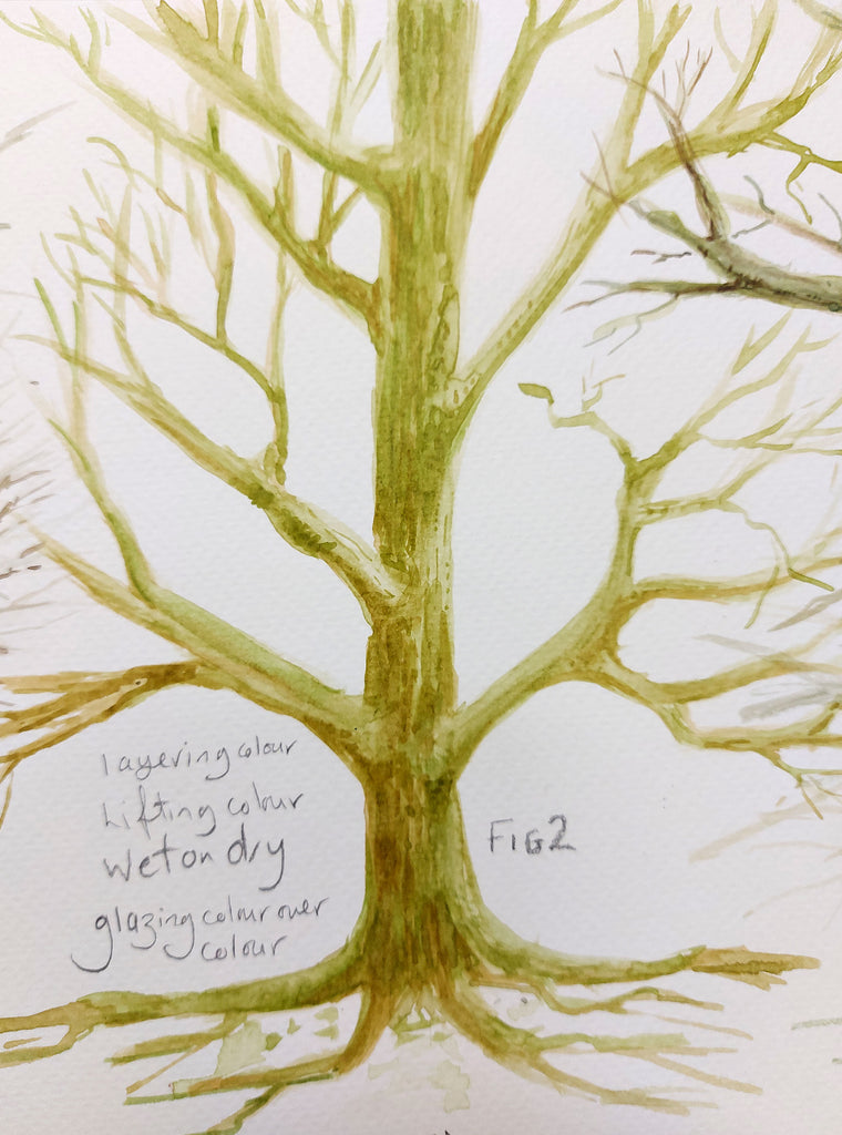 Tree Fig 2