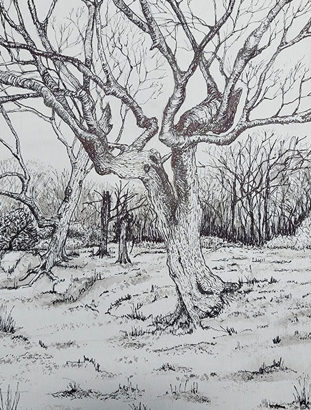 Ellie Jakeman 'Winter tree study' Fine liner and acrylic ink on ARTdiscount wooden panel board, 30cm x 42cm.