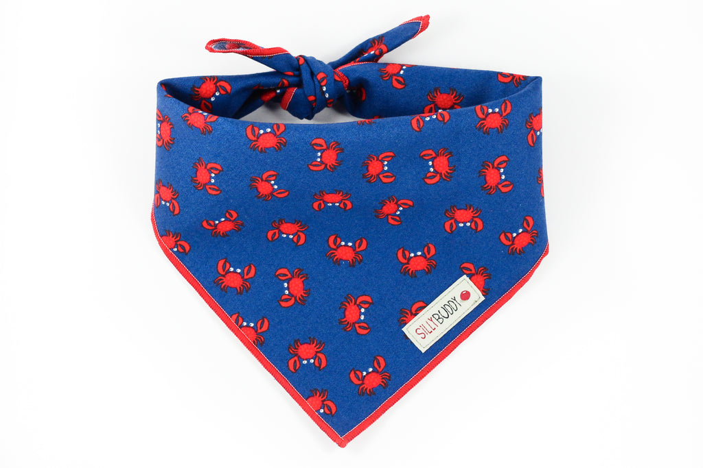 blue dog bandana