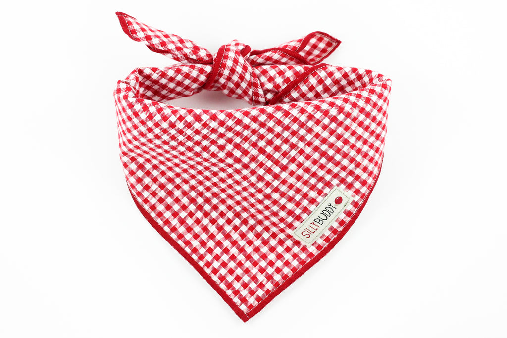 gingham dog bandana