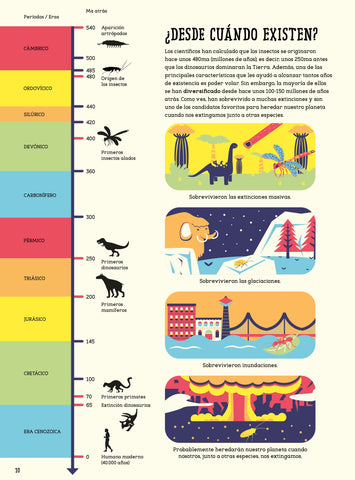 Timeline from Insectopedia by Daniel Aguilera-Olivares