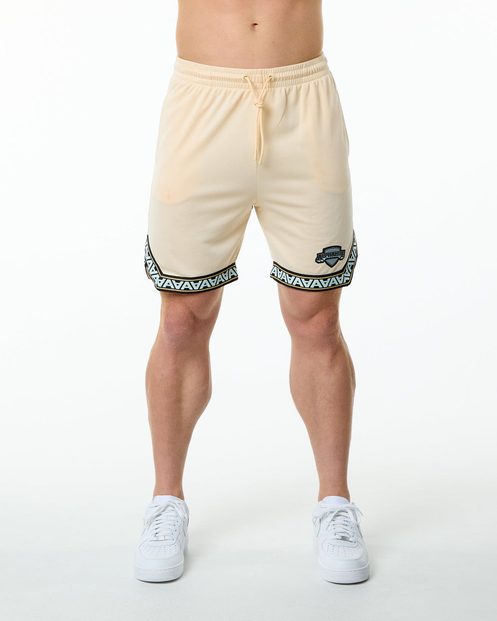 Alphalete Men's Varsity Basketball Jersey | Grey Pinstripe | Small | 100% Polyester | Sleeveless