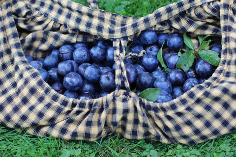 Picking Plums