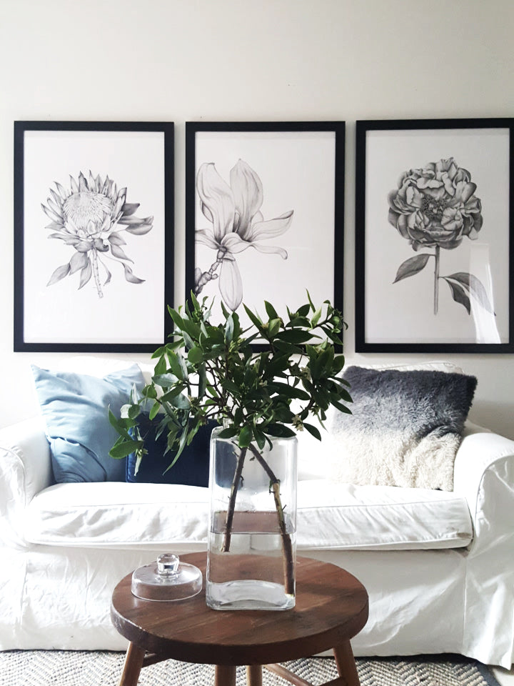 set of 3 prints, protea, magnolia and peony illustrations