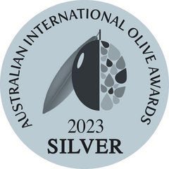 2023 AIOA Silver Medal