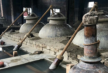 vetiver distillation