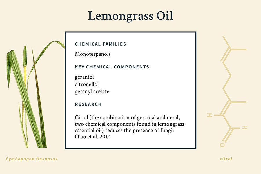 lemongrass oil infographic