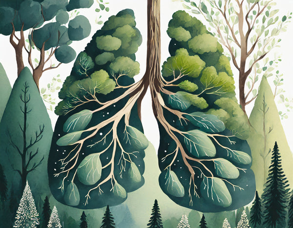 trees are the lungs of the earth