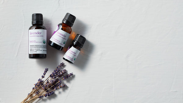 essential oils for anxiety lavender oil aromatics international