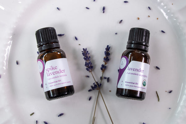 lavender essential oils aromatics international