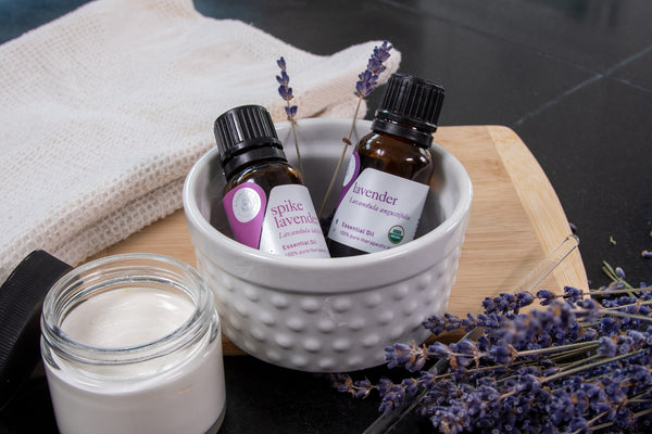 lavender essential oils aromatics international