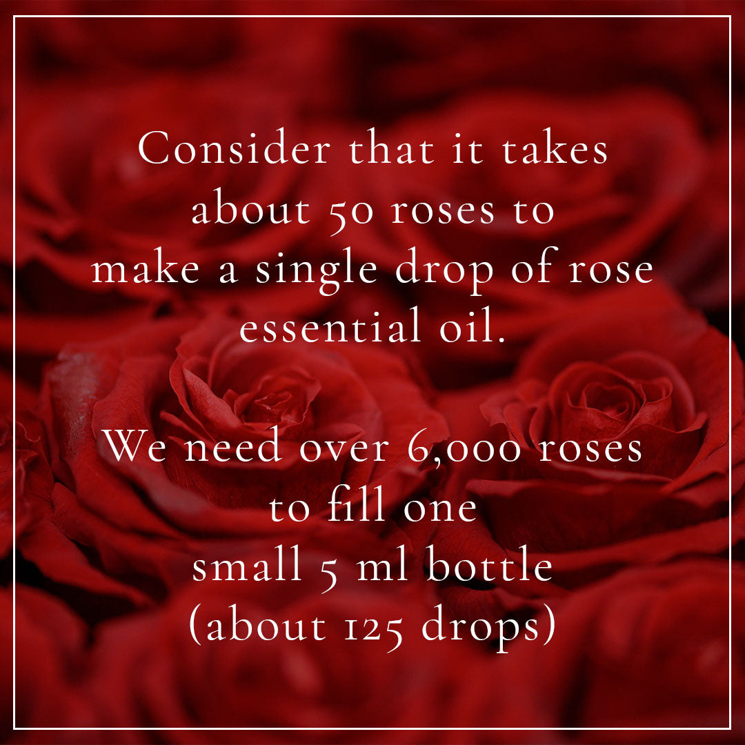 roses facts