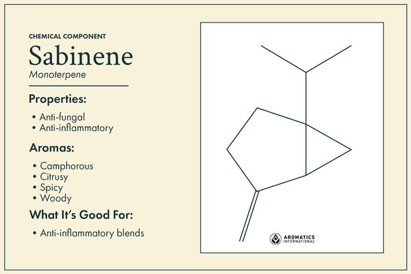 Plai oil chemical component sabinene Aromatics International