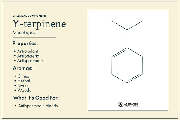 Plai essential oil top chemical components Y-terpinene Aromatics International