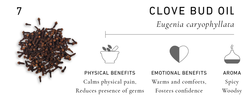 Essential Oils for Men: Clove Bud