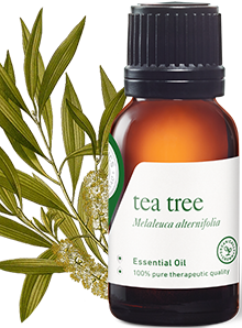 Tea Tree Oil