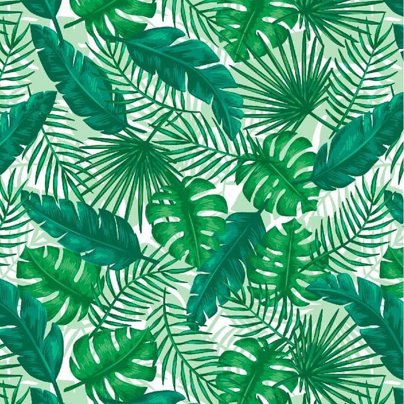 Siser® EasyPattern® HTV - Tropical Leaves – Crafter's Vinyl Supply