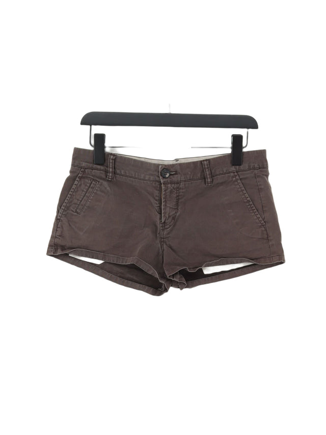 AllSaints Women's Shorts UK 10 Brown 100% Cotton