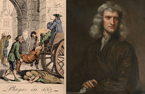 How Isaac Newton Turned Isolation From the Great Plague Into a “Year of  Wonders” - Foundation for Economic Education