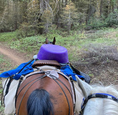 Packing on the Tahoe Rim Trail