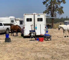 Start of the Tahoe Rim Trail - Horseback with 1 Pack Horse