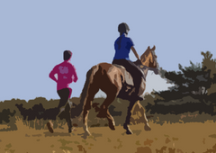 Horse and Runner