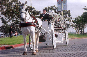 Cinderella Carriage Company