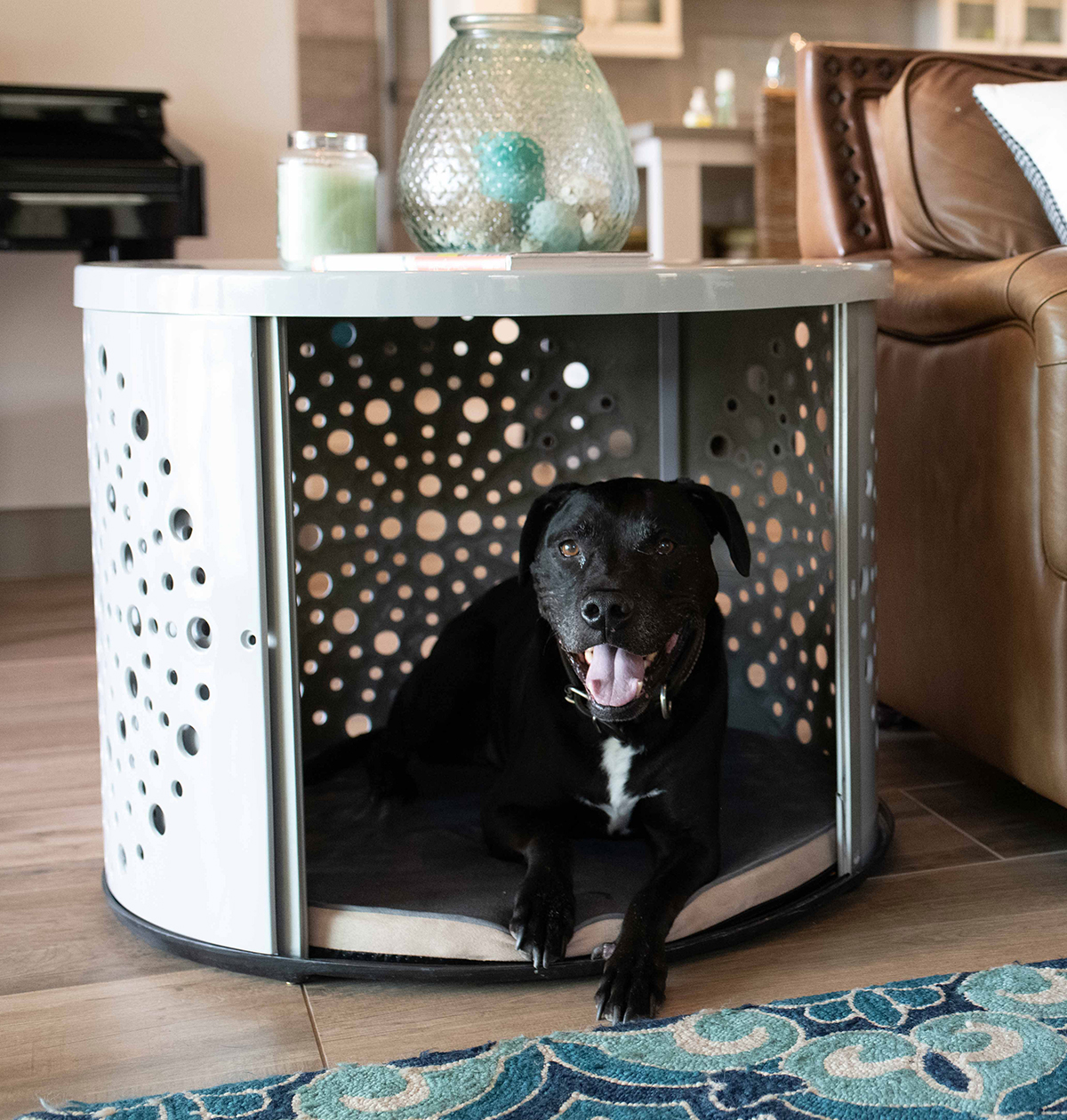 Modern Dog Crate Furniture 