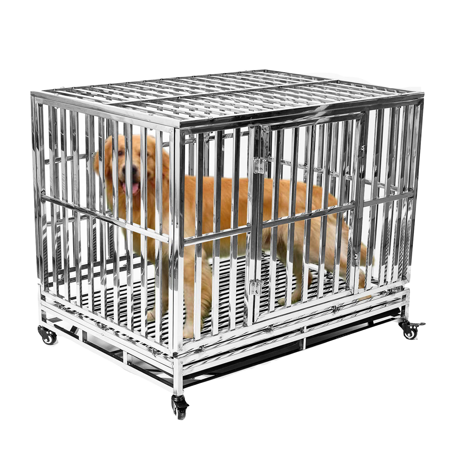 stainless steel dog crate