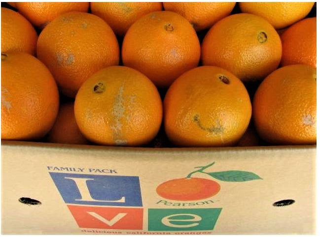 Navel Oranges — Melissas Produce