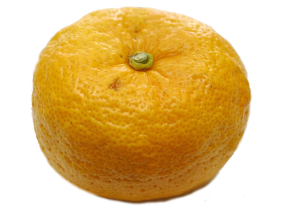 Buy Premium Japanese Yuzu Citrus Online