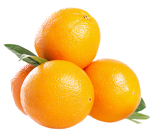 Seedless Orange, 10 lb